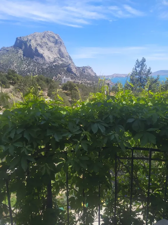 Семейный коттедж в Можжевеловой роще