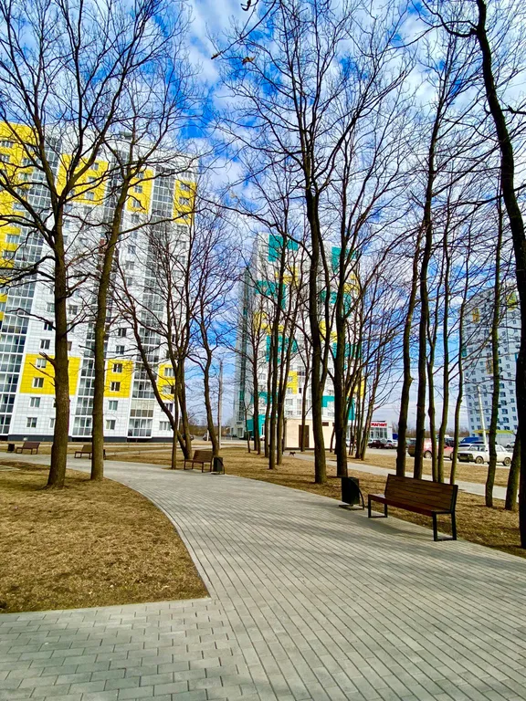 В ЖК Озерки, в 5 минутах от трассы М4