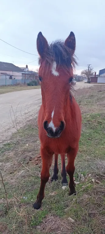 Дом в Благовещенской