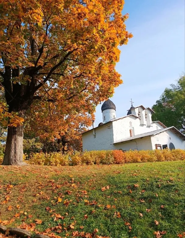 Уютная квартира в историческом центре города