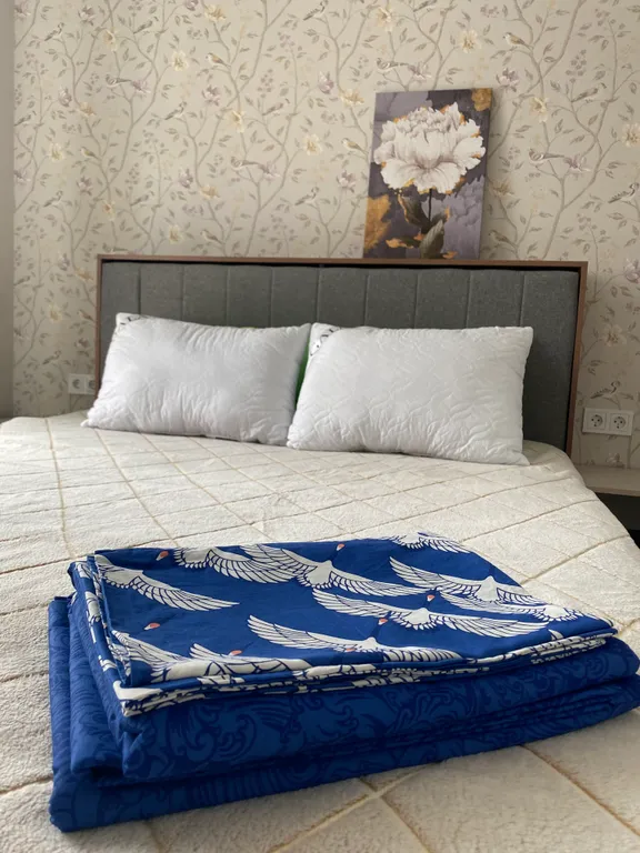 Квартира Евродвушка в ЖК Самоцветы — аренда посуточно в Аксай