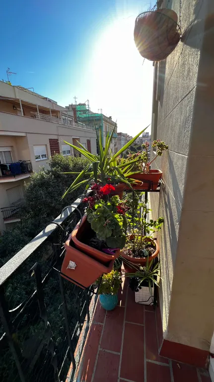 Комната около парка Монтжуик в центре