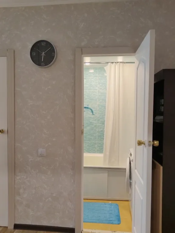 Уютная квартира у Столицы