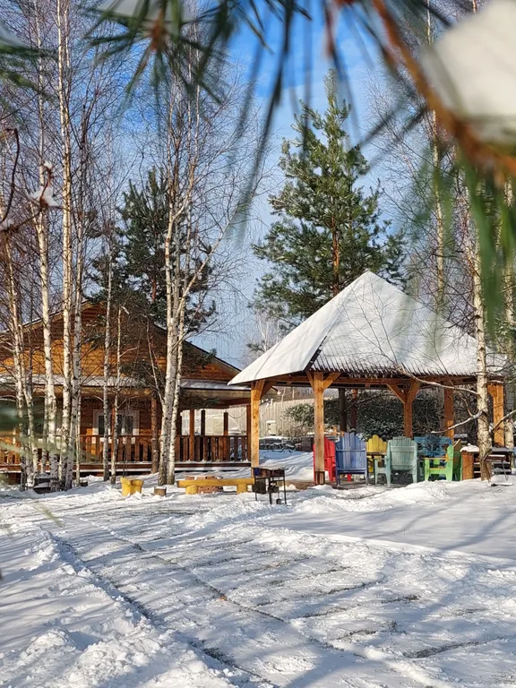 Коттедж Уютный дом с баней рядом с рекой и лесом — аренда посуточно в Городец