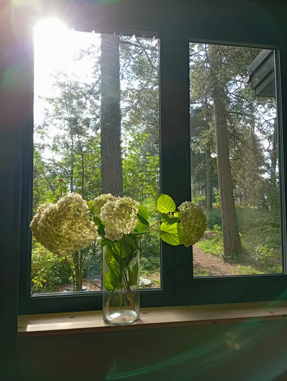 Коттедж Дом на берегу Ладожского озера — Видлица