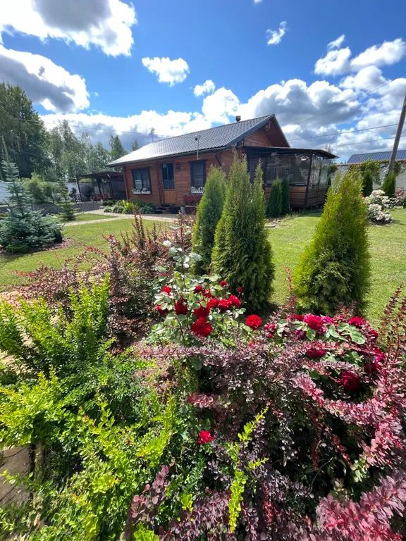 Карпин пруд 2