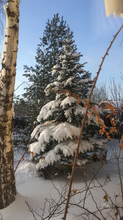 Коттедж с баней и джакузи рядом с горками