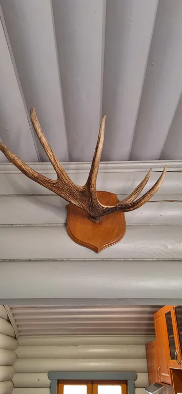 Уютный коттедж на берегу великолепного озера Ханкасъярви