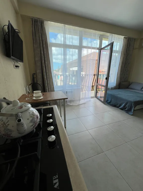 Квартира Квартира Уютная студия с красивым видом из окна — Сириус