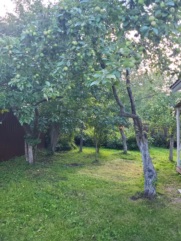 Дом у залива и клуба Фаворит