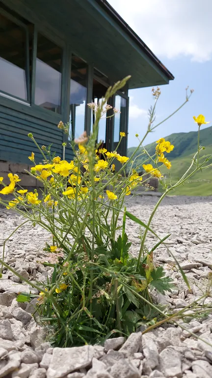 Коттедж Дом с верандой и видом на прекрасную долину - Новая веранда — Махачкала