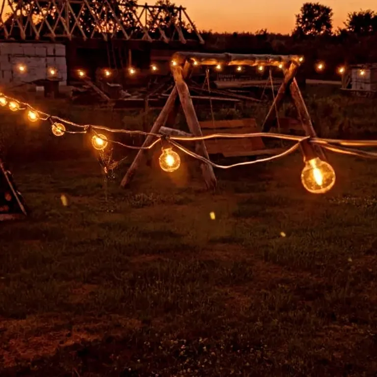 Отдых на территории гпу Беловежская пуща