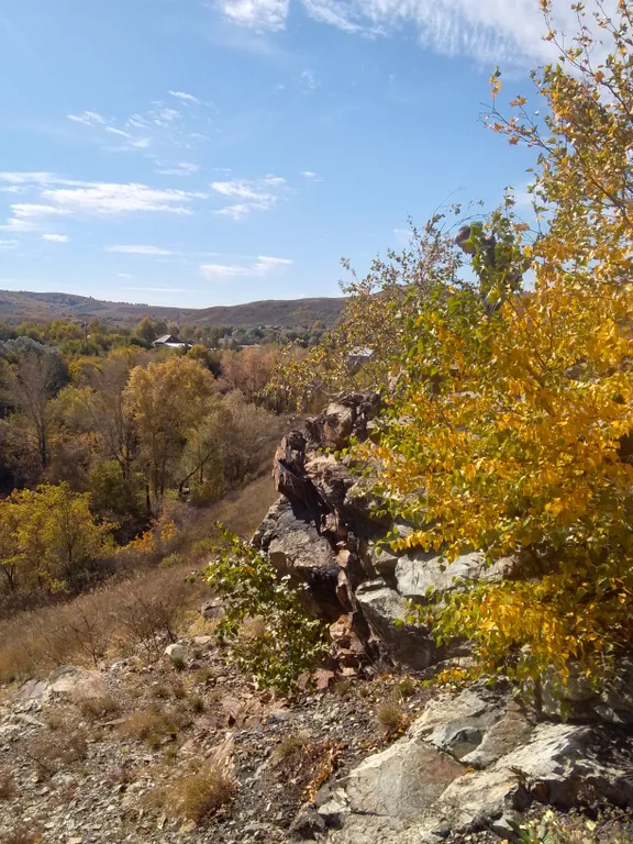 Большой дом с камином и новой баней