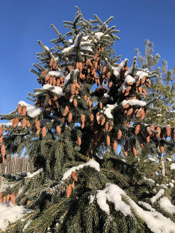 Квартира Дом возле леса, 5 этаж, окна в горы, птицы и воздух — аренда посуточно в Железноводск