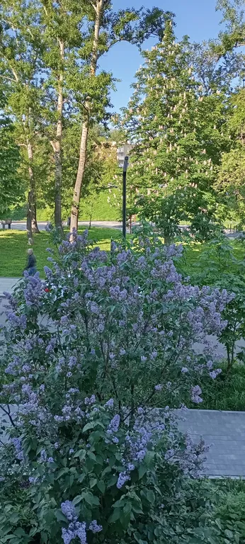 Уютная квартира на набережной Федоровского со знаменитыми закатами