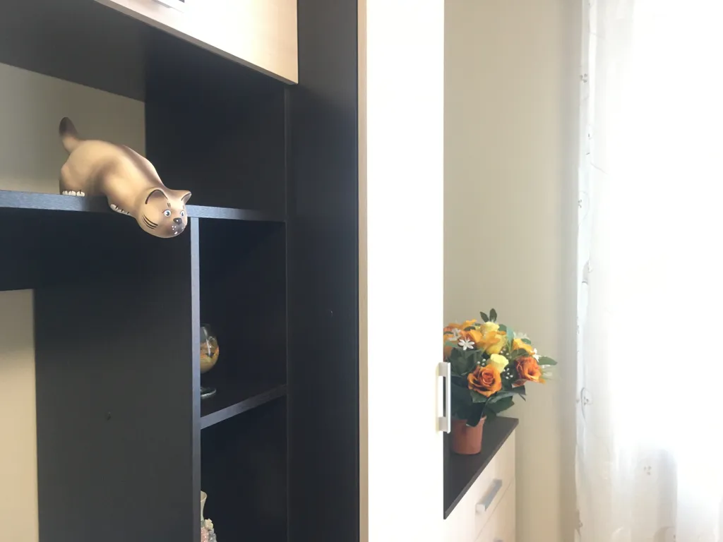 Квартира Уютная квартира с видом на море и закаты — Зеленоградск