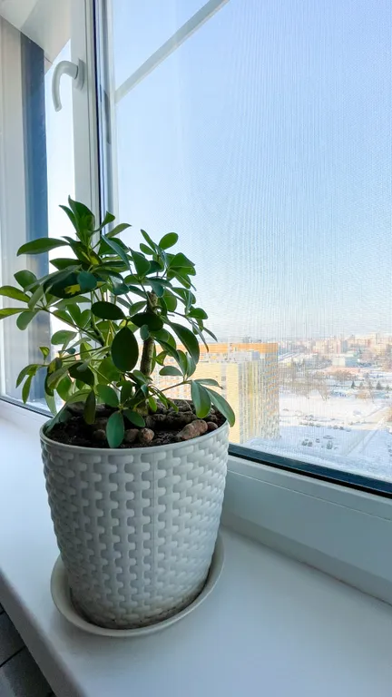 Чистая и уютная квартира