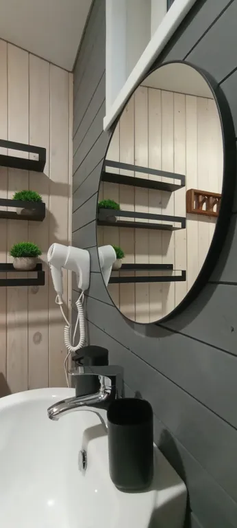 Отдых в живописном месте Алтая