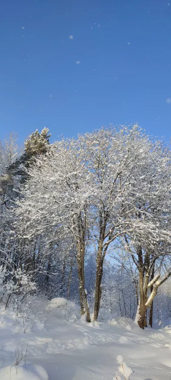 Коттедж Тёплый коттедж с баней на очень большой уединённой территории — Кротово