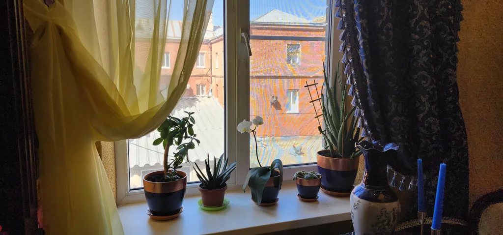 Дизайнерские апартаменты Райский уголок