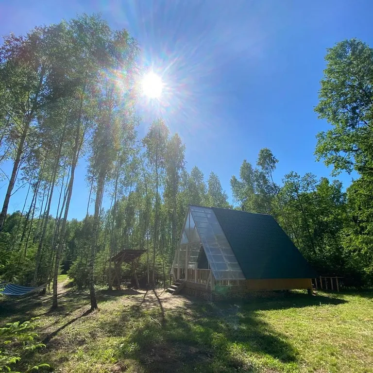 Авторский домик  В ЛЕСУ - "ШалаШик"