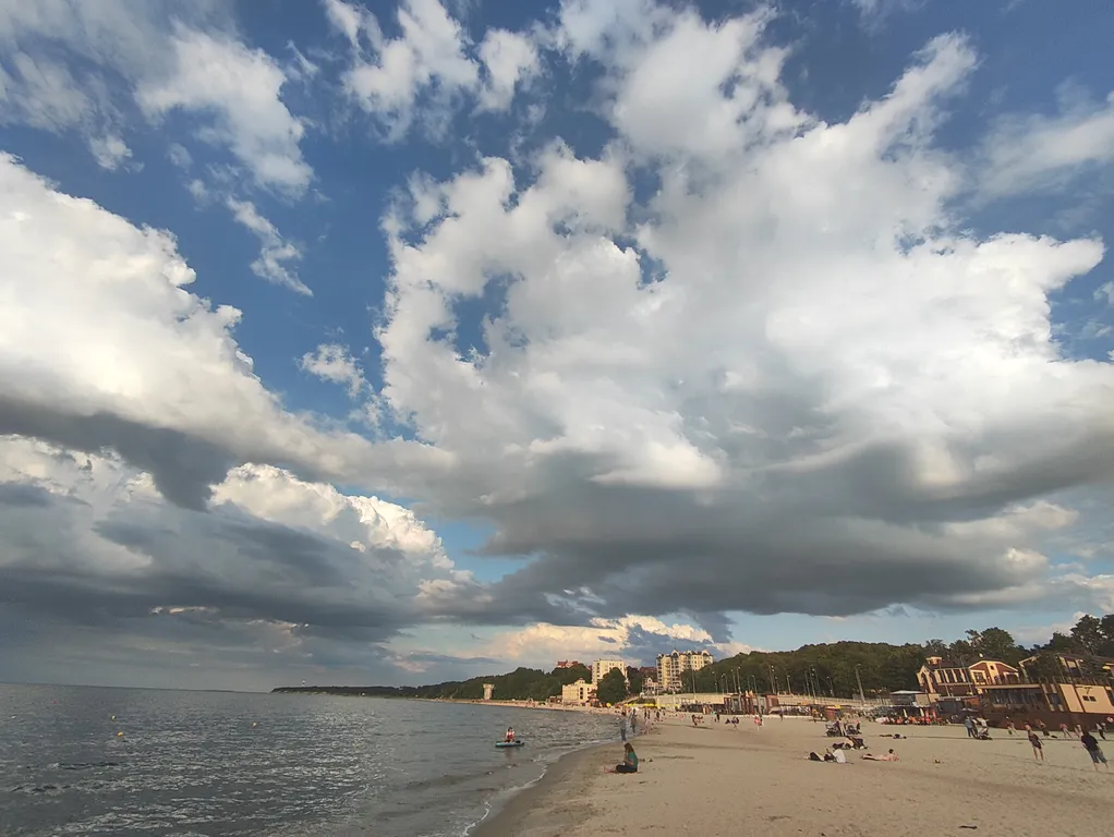 Уютная квартира с видом на парк