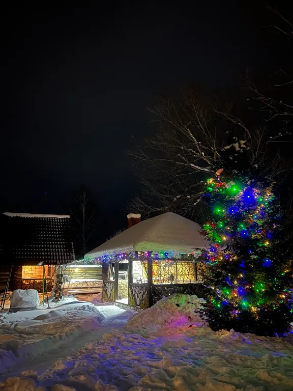 Кедровый уют у реки, ваше восстановление на Алтае