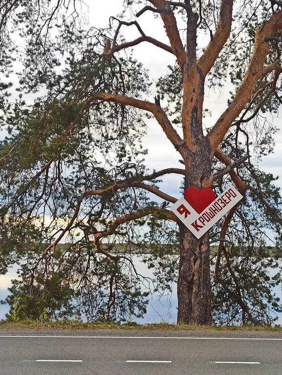 Коттедж Дом с видом на озеро — Крошнозеро