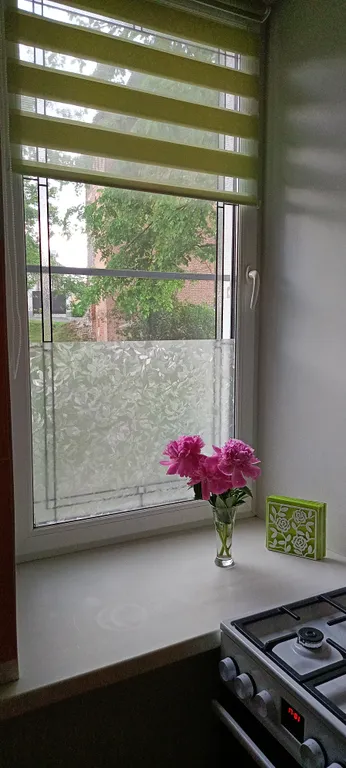 Уютная квартира у Спасской башни Коломенского кремля