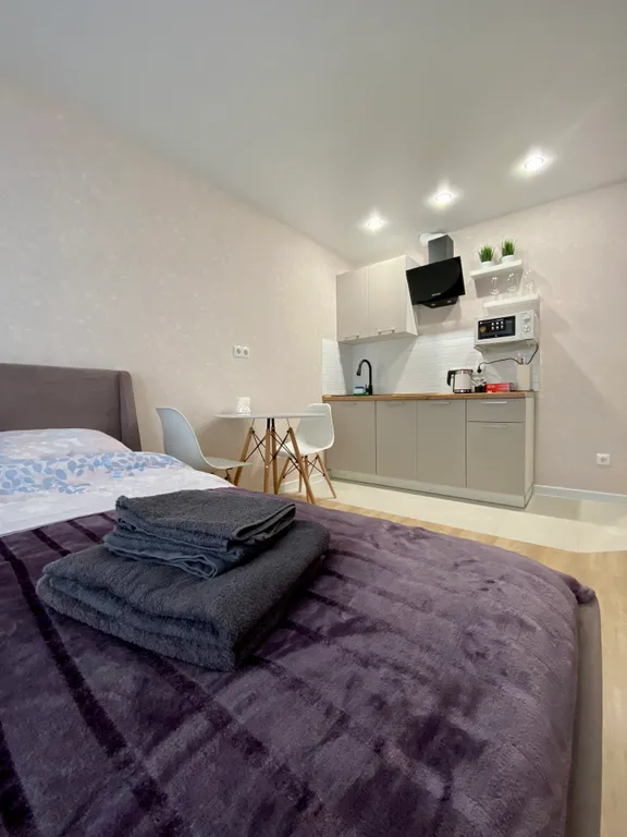 Квартира Уютная студия — аренда посуточно в Ижевск