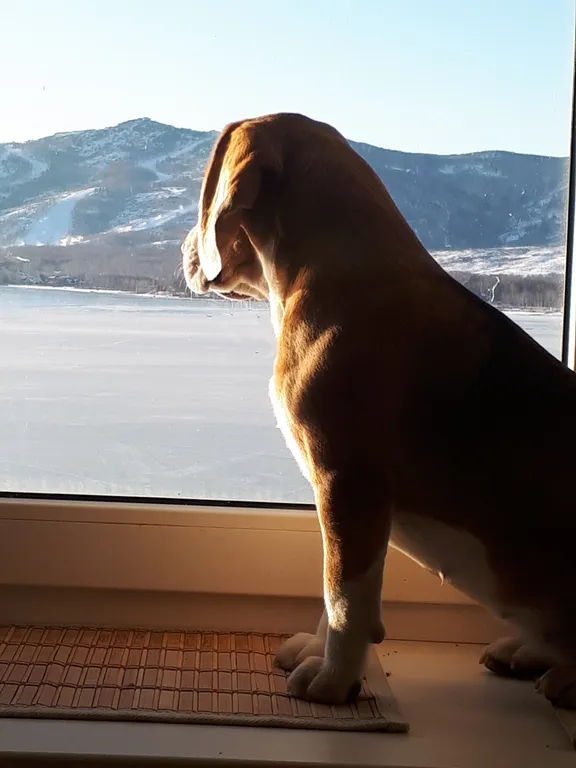 Квартира на озере Банное