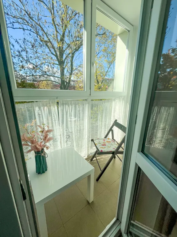 Уютная, светлая квартира в центре со свежим ремонтом