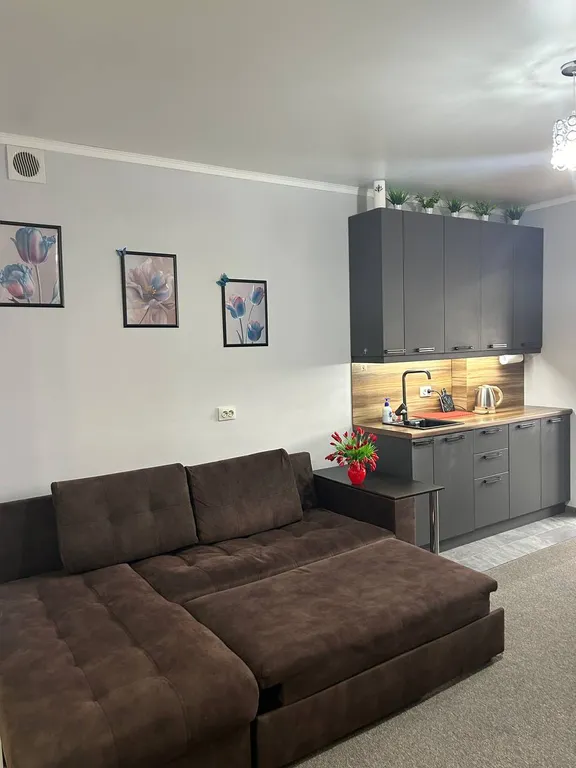 Уютная Евродвушка в центре