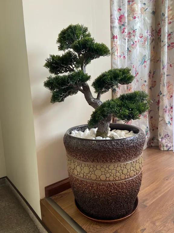 Комфорт и уют с видом на море