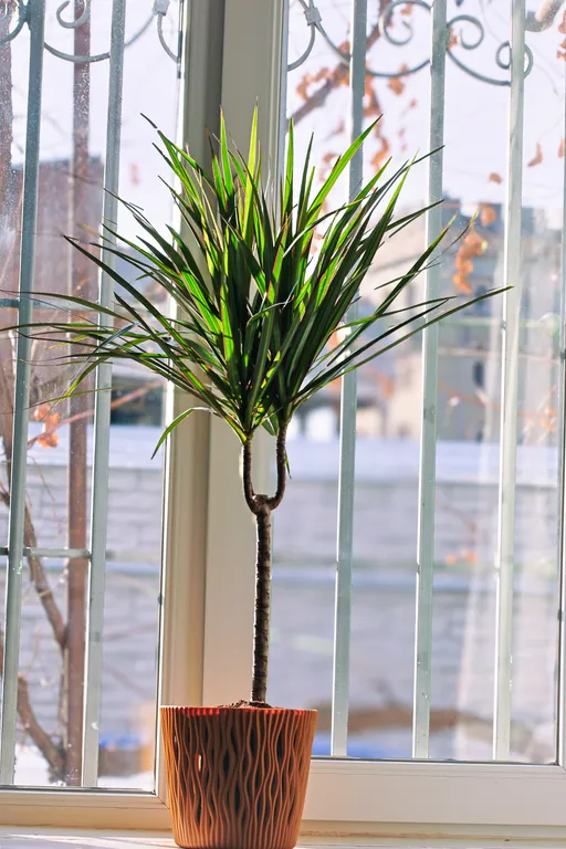 Дом в старом городе