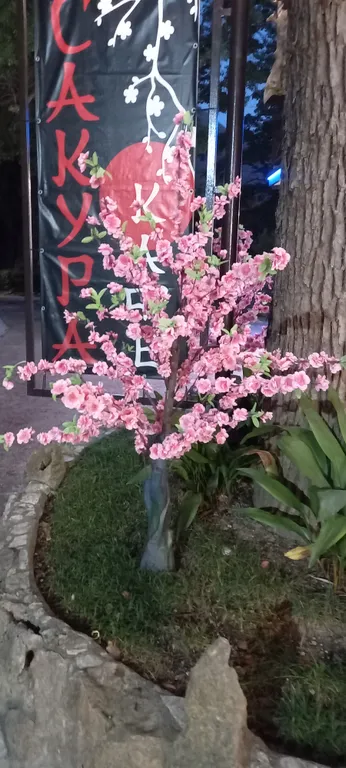 Квартира Комната с прямым видом на море — Гагра