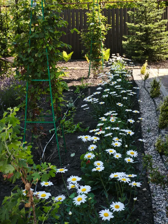 Новый дом с финской сауной, террасой и видом на гору Змейка
