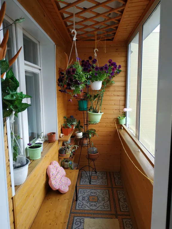 Уютная квартира с чудесной панорамой на вечерние закаты