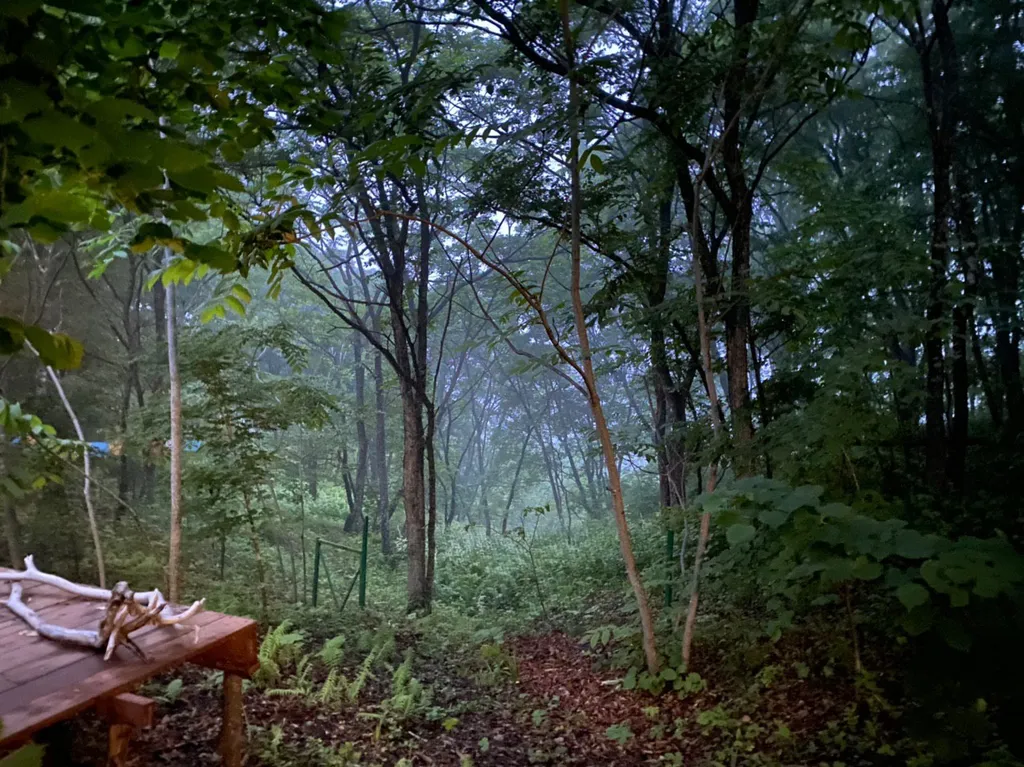 Домик путешественника у моря