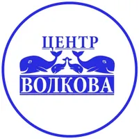 Центр Волкова