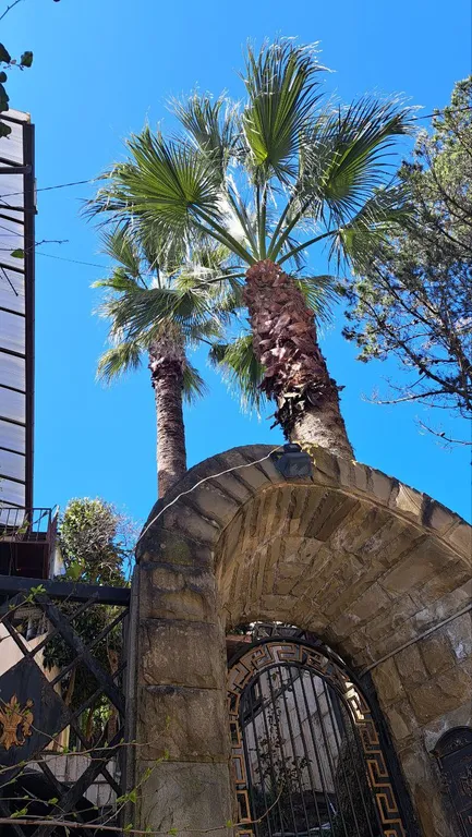 Новая студия в центре Сочи