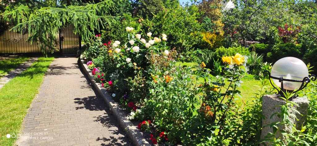 Светлая и просторная студия в чудесном саду для отдыха под шум моря