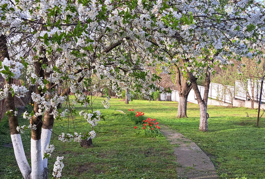 Студия на Пожарского Пятигорск