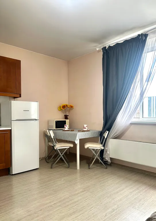 Студия Каштан в тихом ЖК