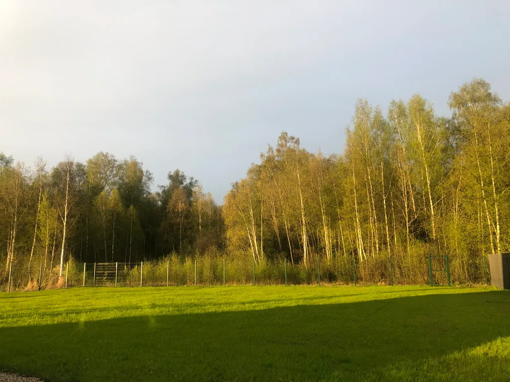 Домик у пруда