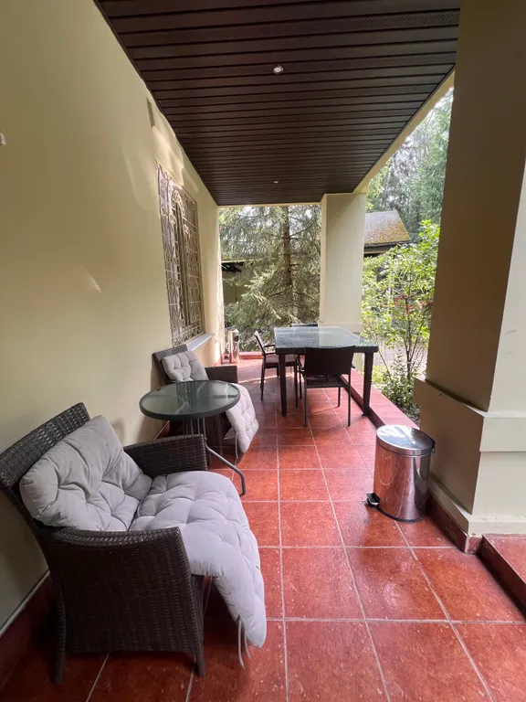 Усадьба в хвойном лесу