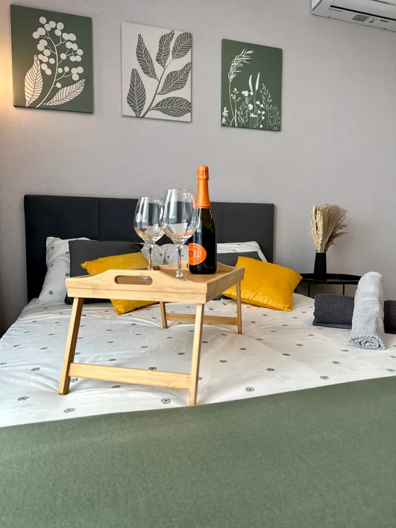 Уютная студия с видом на реку