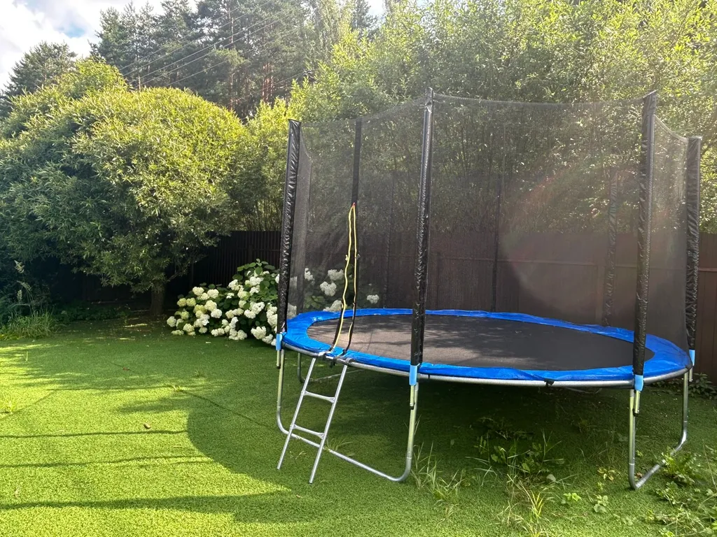 Загородный дом в окружении леса Grovehause