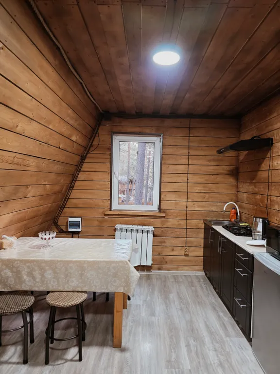 Дом в стиле а-фрейм в сосновом лесу, рядом с горной речкой, экологичес