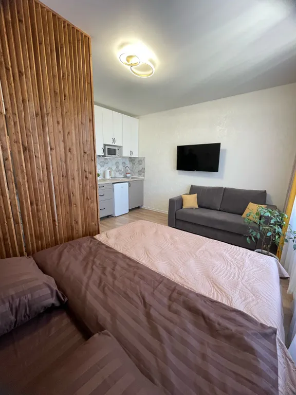 Стильная студия со всеми удобствами